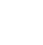 icon-expertise